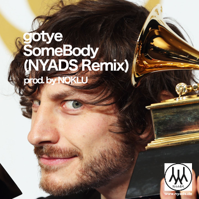 Gotye-Remix-Cover